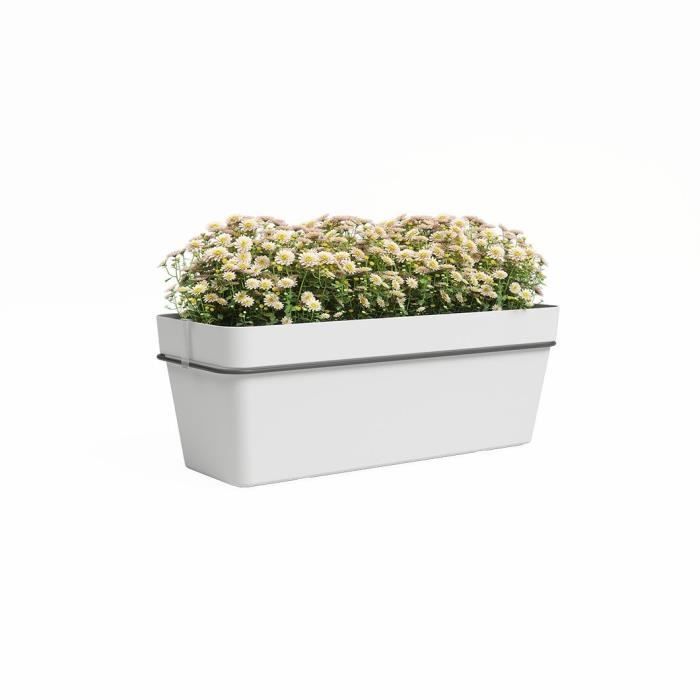 ARTEVASI - Kit balcon Jardiniere capri re 50cm v2 blanc 50,2 x 28,5 x h20 cm - 1,45l - 2