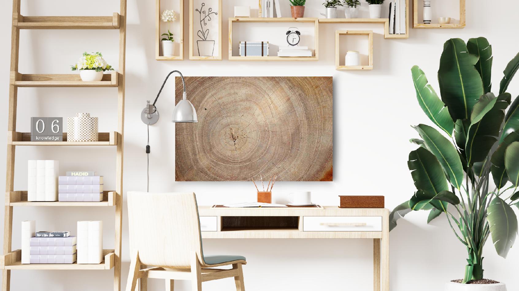 Tableau Magnétique en Métal Motif Tronc Cernes de Bois 90x60cm, MetalBoards pour tout type d'Aimants - 2