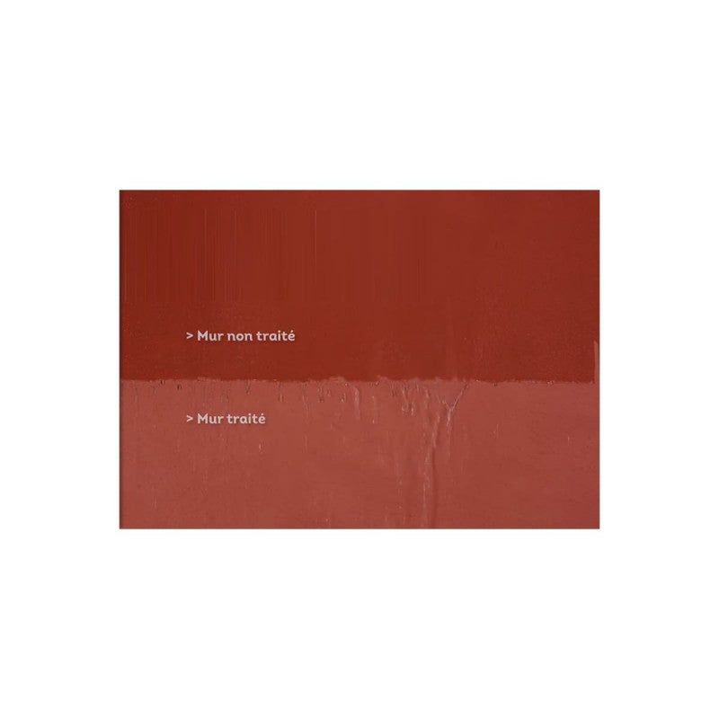 Protection anti-tâches 238 LANKO RÉSIST HYDRO - hydrofuge pour façades, terrasses & toiture PAREXLANKO - 2 L - 10 m² - 4