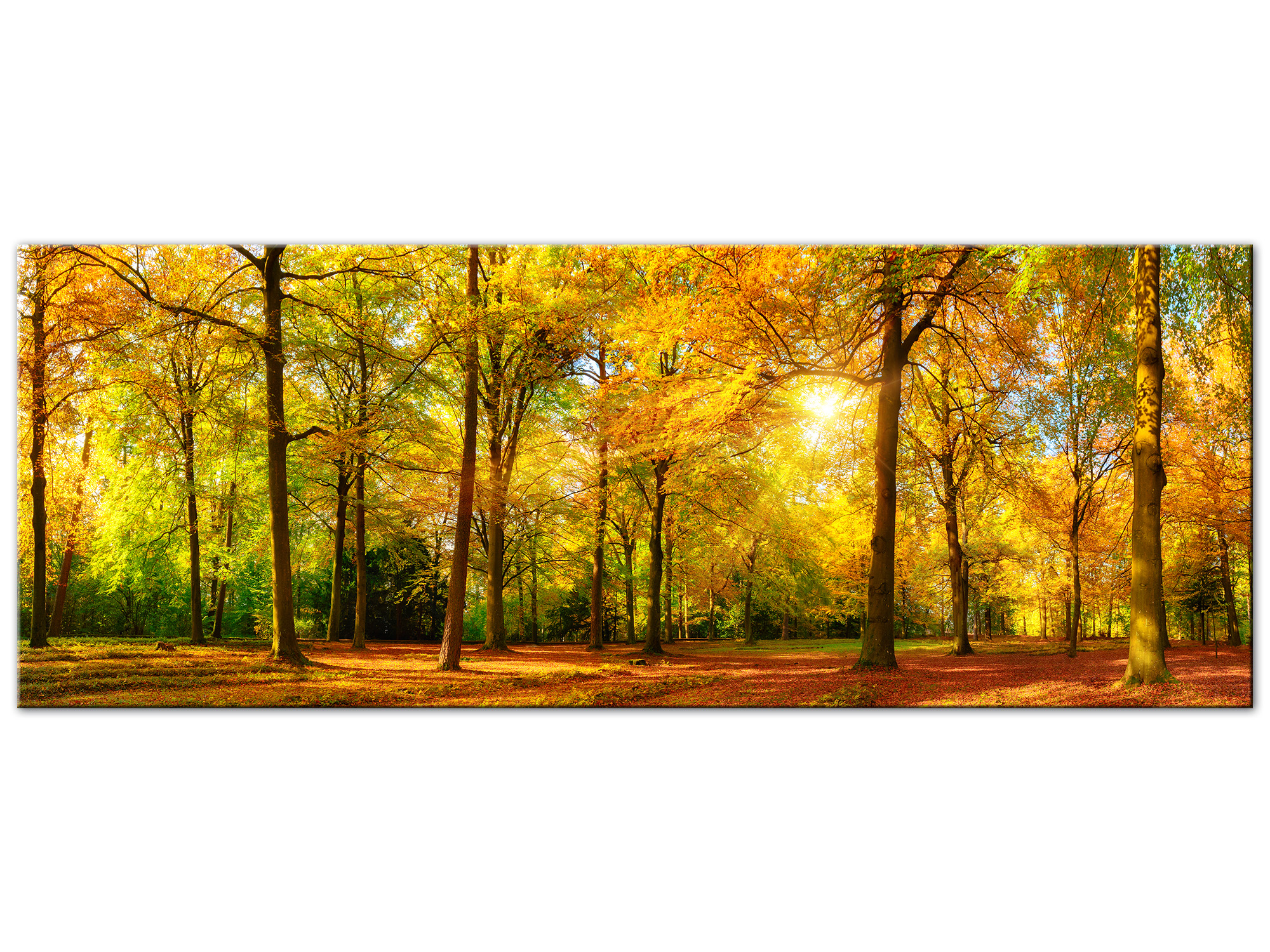 DECLINA, Tableau toile imprimée paysage, Tableau panoramique FORET EN AUTOMNE, 120x50 cm - 2