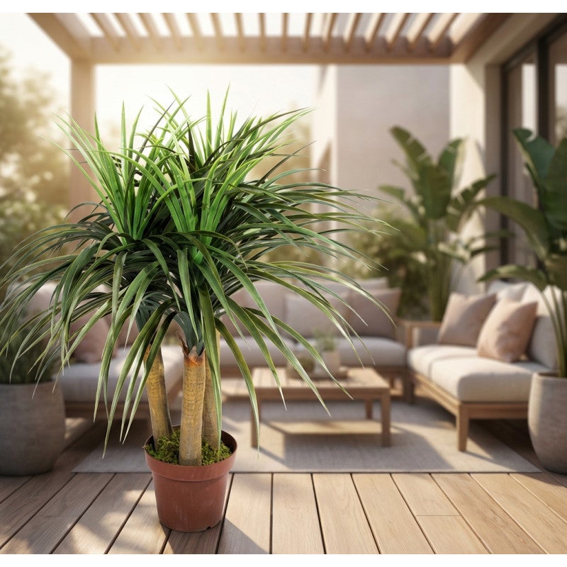 Plante Artificielle Nolina 75cm avec pot | Plantes en plastique pour la décoration de jardin intérieur et extérieur - 4