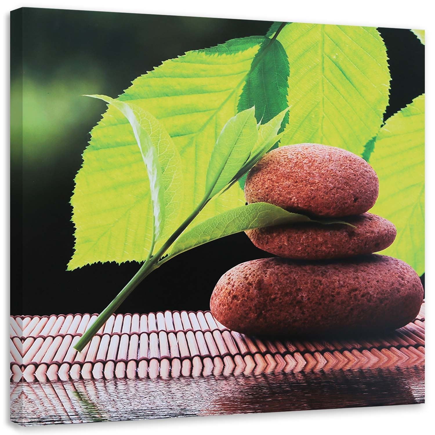 Obraz na płótnie, Liście orzecha i kamienie 30x30