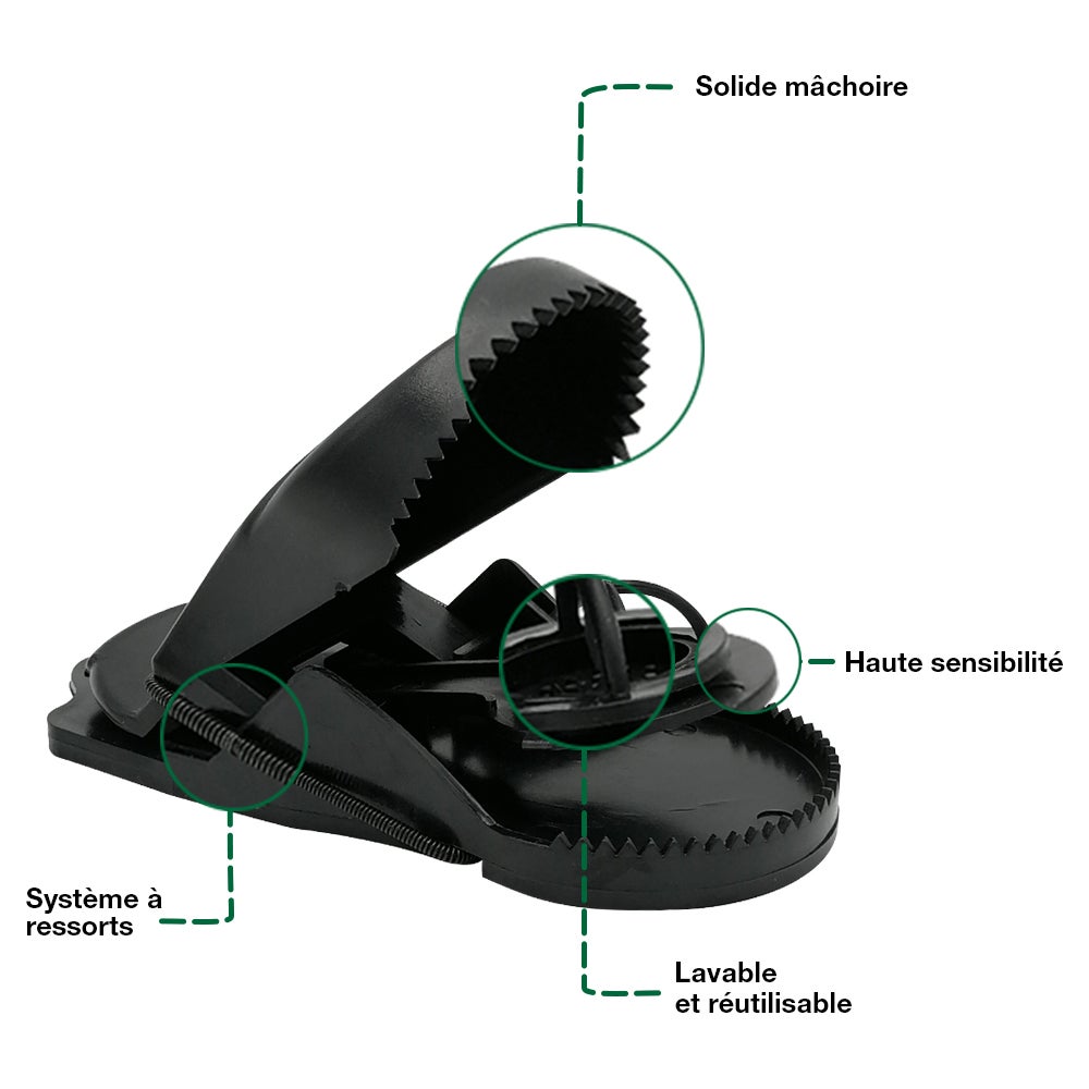 Tapette à souris x 4 - 3