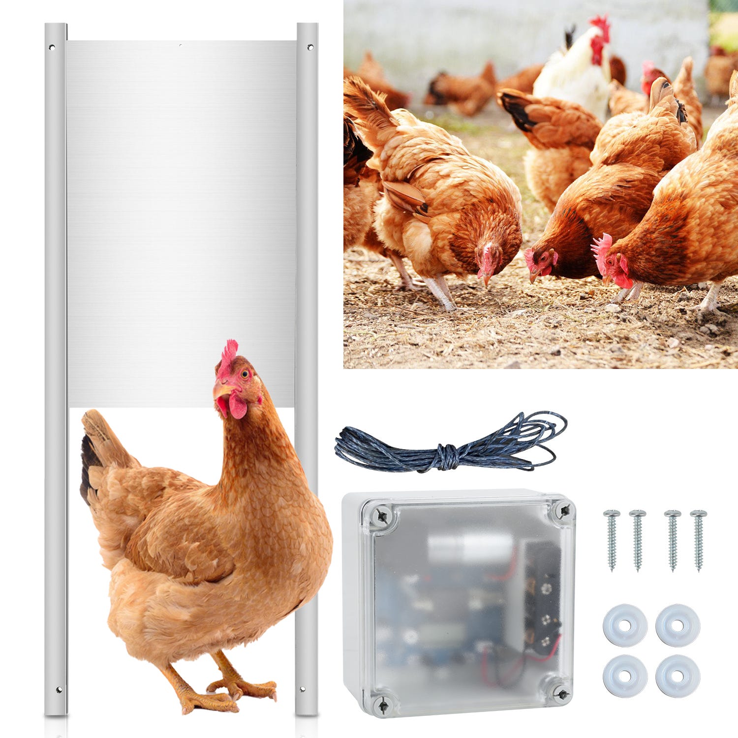Talifoca: Puerta Automática Para Gallinero Con LCD Y Función Anti-Atrapamiento