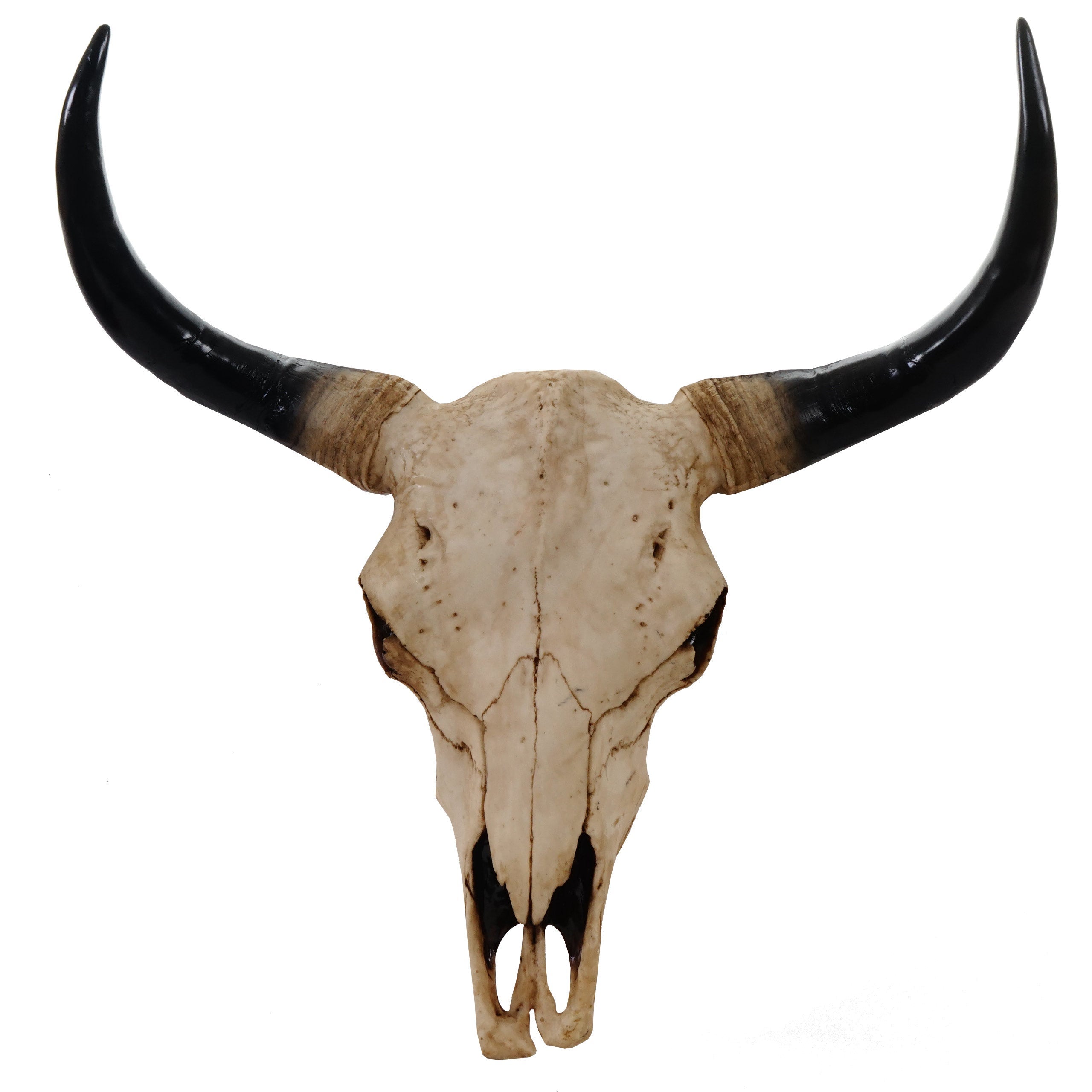 Decoración de pared cabeza de toro trofeo longhorn de 45 cm en poliresina interior/exterior natural 04_0002848