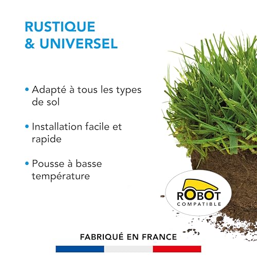 BARENBRUG - Gazon Rustique & Universel - Adapté Tous Sols - Installation Facile et Rapide - Pousse à Basse Température - 1KG - 2