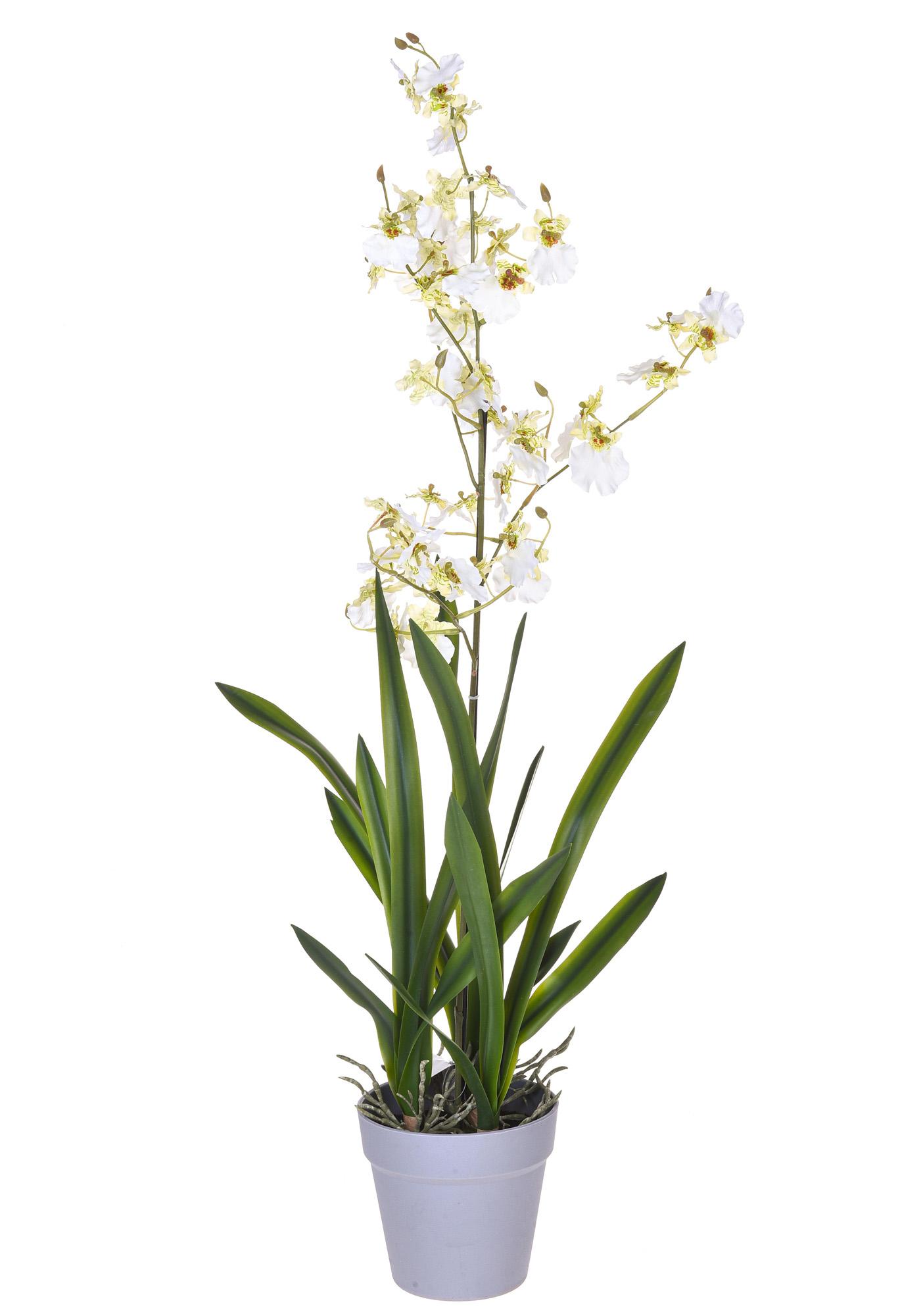 Orchidea phalaenopsis artificiale JASMIN in ciotola di ceramica, bianco, 40cm