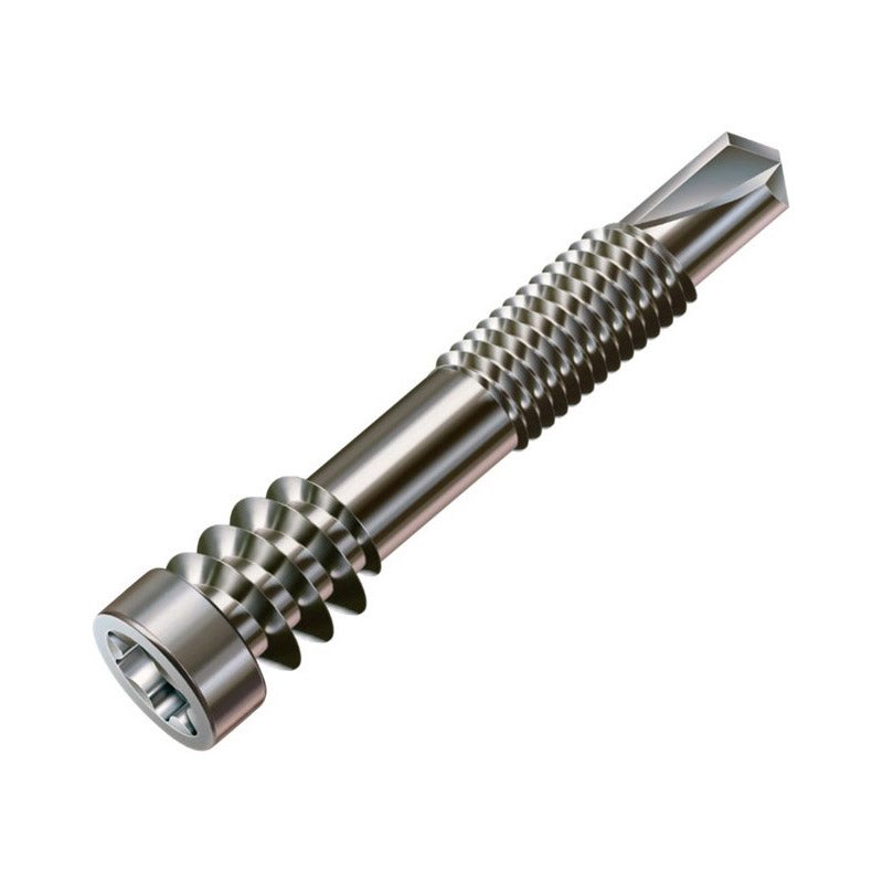 Lot 400 Vis Inox A2 5x60mm Double Filet Pour Terrasse Bois Dur - Avec 1 Embout GRATUIT