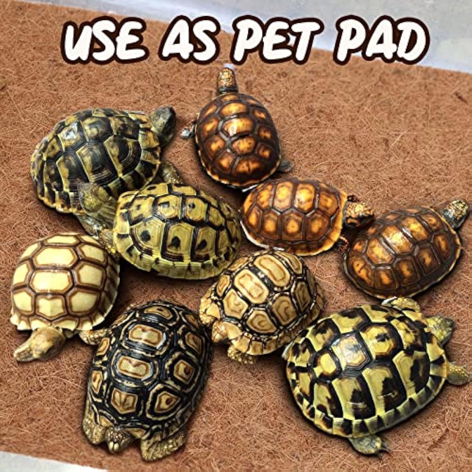 Tapis pour animaux de compagnie en feutre de noix de coco, tapis en fibre animale 40*100CM, pour plantes et pots de fleurs, décoration de jardin,2pcs - 5