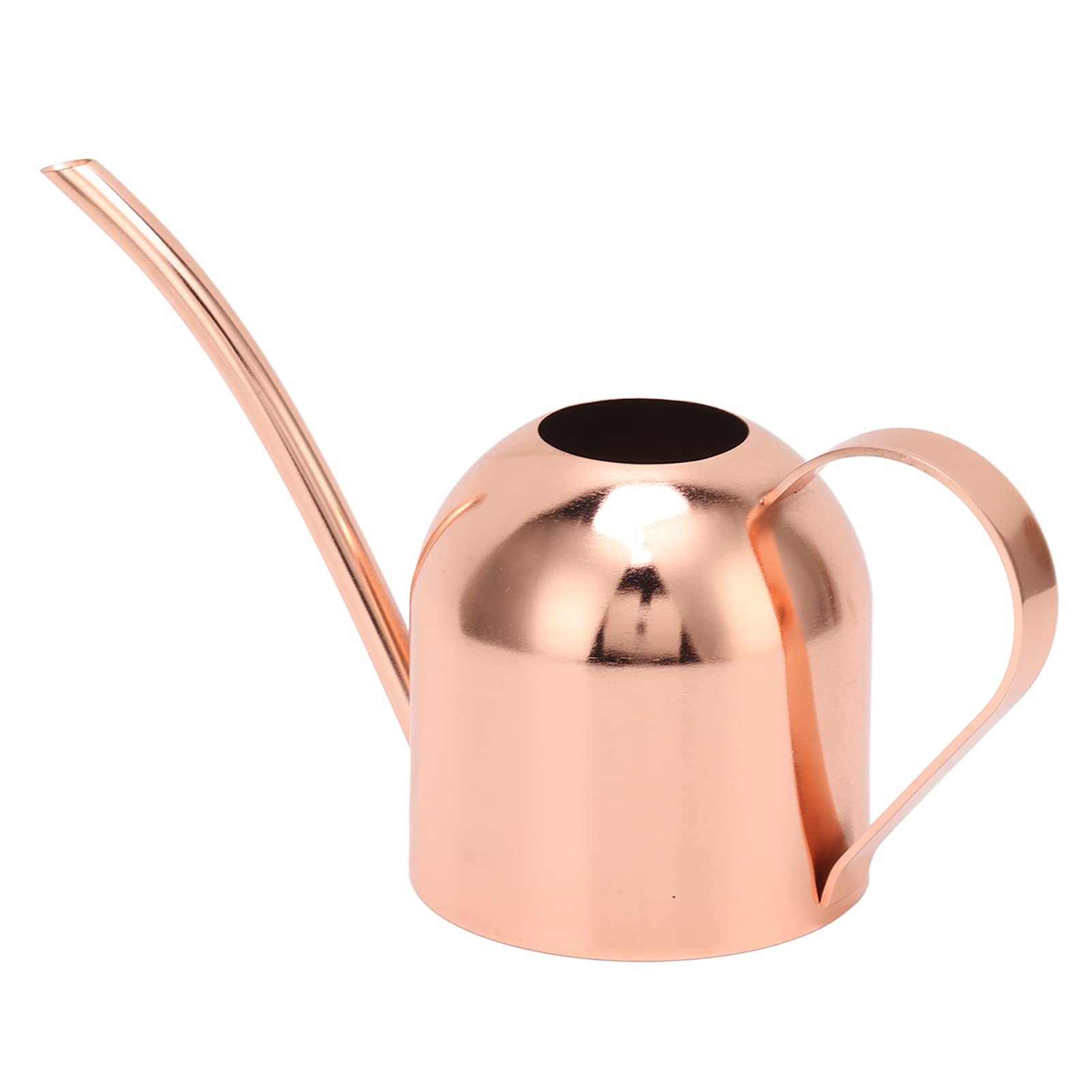 Annaffiatoio Piccolo In Acciaio Inox 300ml Per Piante Da Interno - Beccuccio Lungo E Sottile - Moderno E Pratico Per Casa, Ufficio, Bonsai, Fiori - Regalo Originale