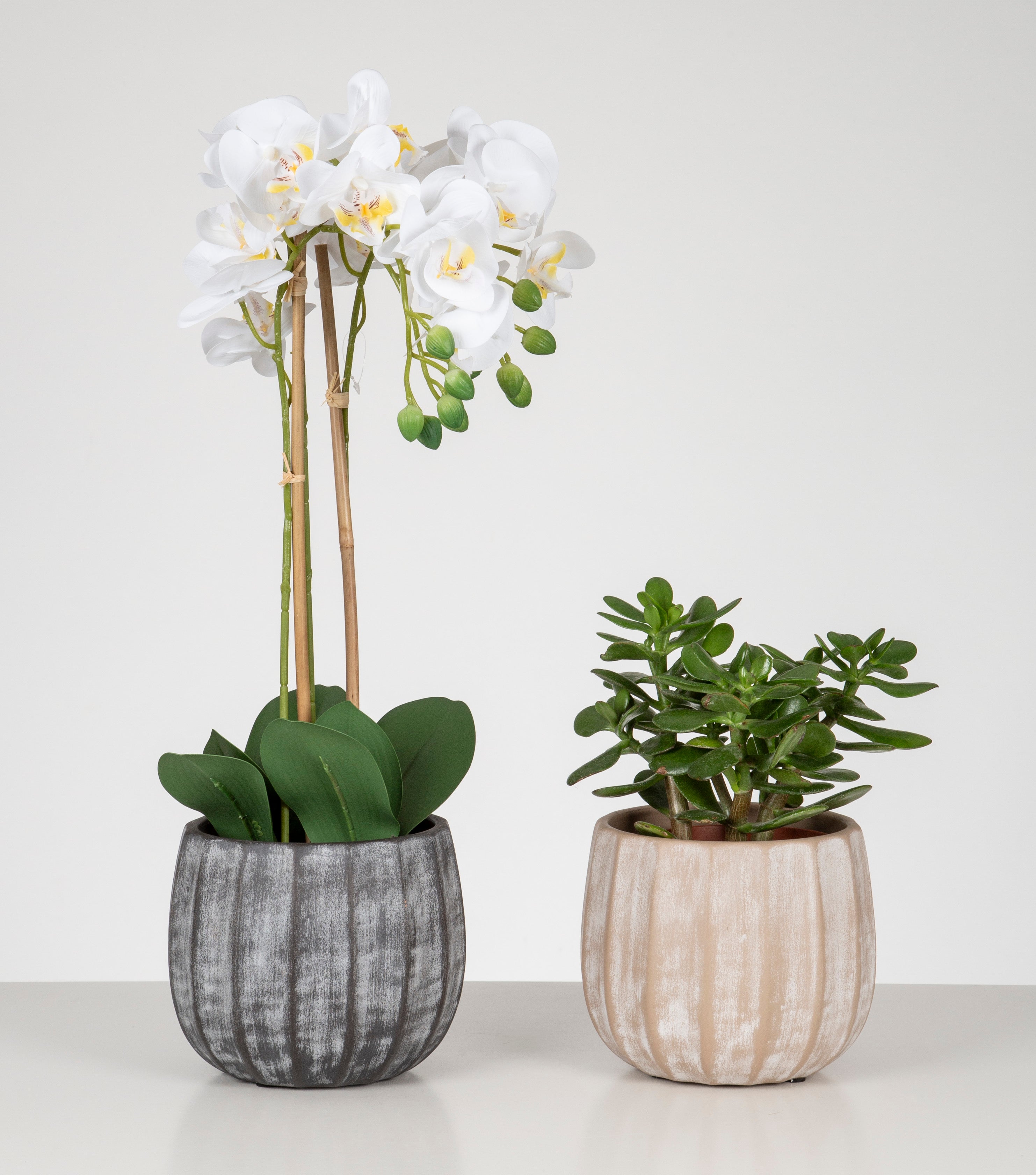 Scheurich Runa, pot de fleurs en céramique, couleur: Washed Cream, 22,57 cm de diamètre, 19,5 cm de hauteur, 13 l de vol. - 3