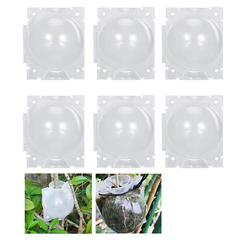 Zestaw 6 sztuk kontrolerów ukorzeniania roślin, urządzenie do ukorzeniania sadzonek (kolor średni/przezroczysty)