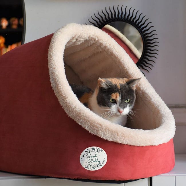 Cuccia Igloo Per Cani E Gatti Flowers - Piccola, Beige, In Resina Resistente Per Interni Ed Esterni - Foto 11