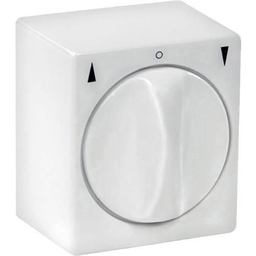 Chamberlain RZ94-05 montage apparent (en saillie)