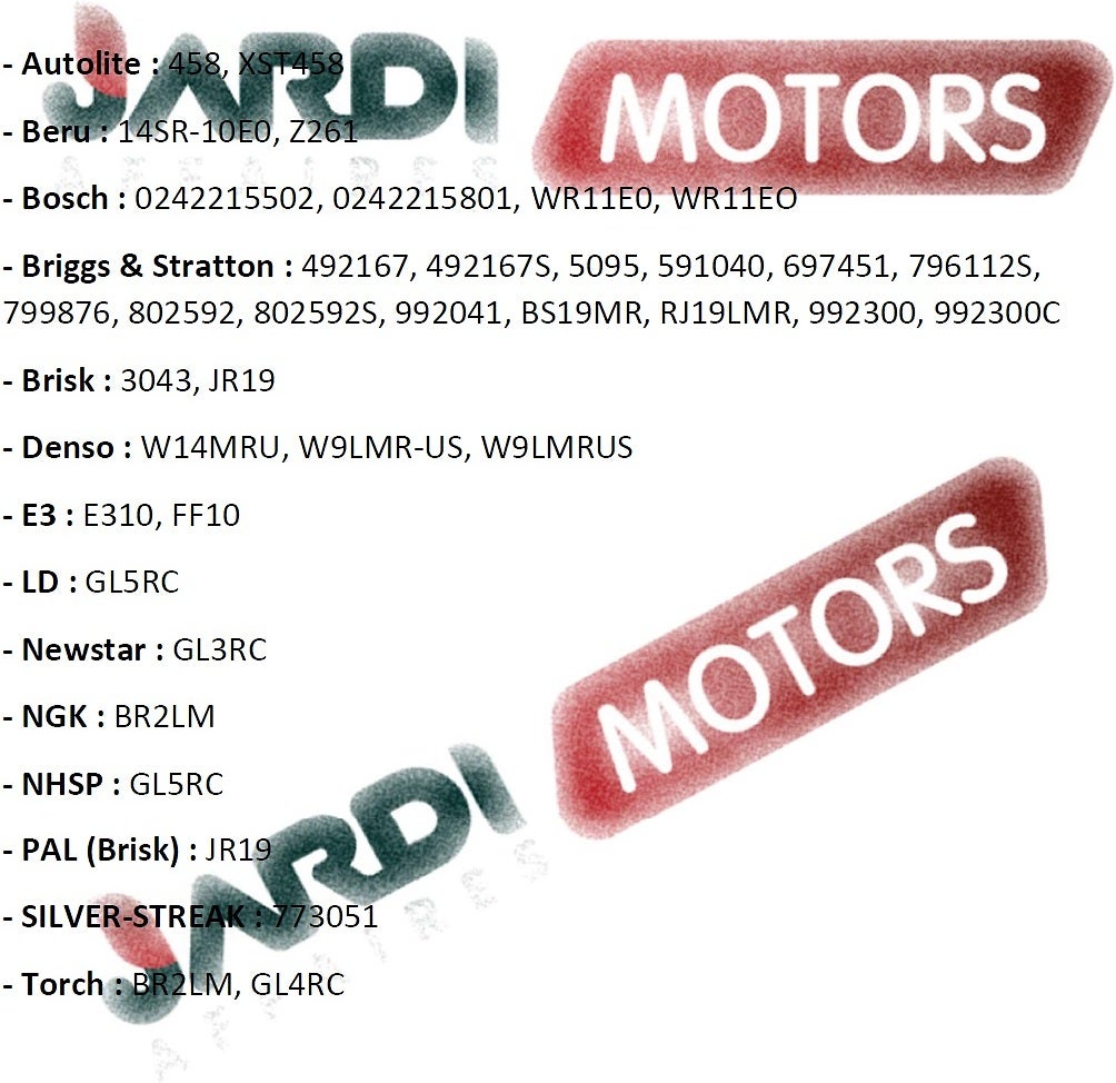 Bougie Champion RJ19LM pour moteur thermique - 2