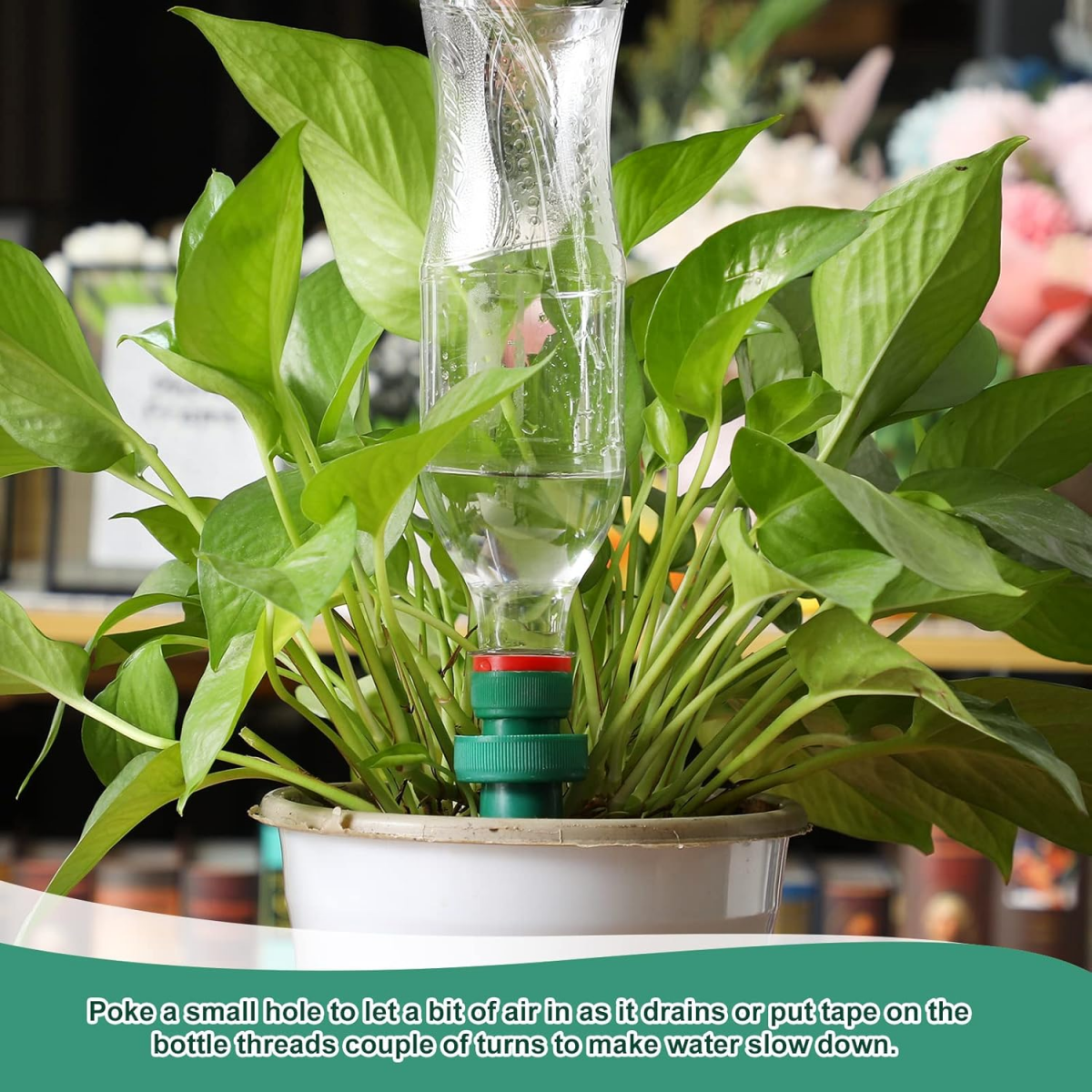 Bouteilles d'irrigation goutte à goutte, piquets d'arrosage pour plantes, dispositifs d'arrosage automatique (10 pièces) - 7