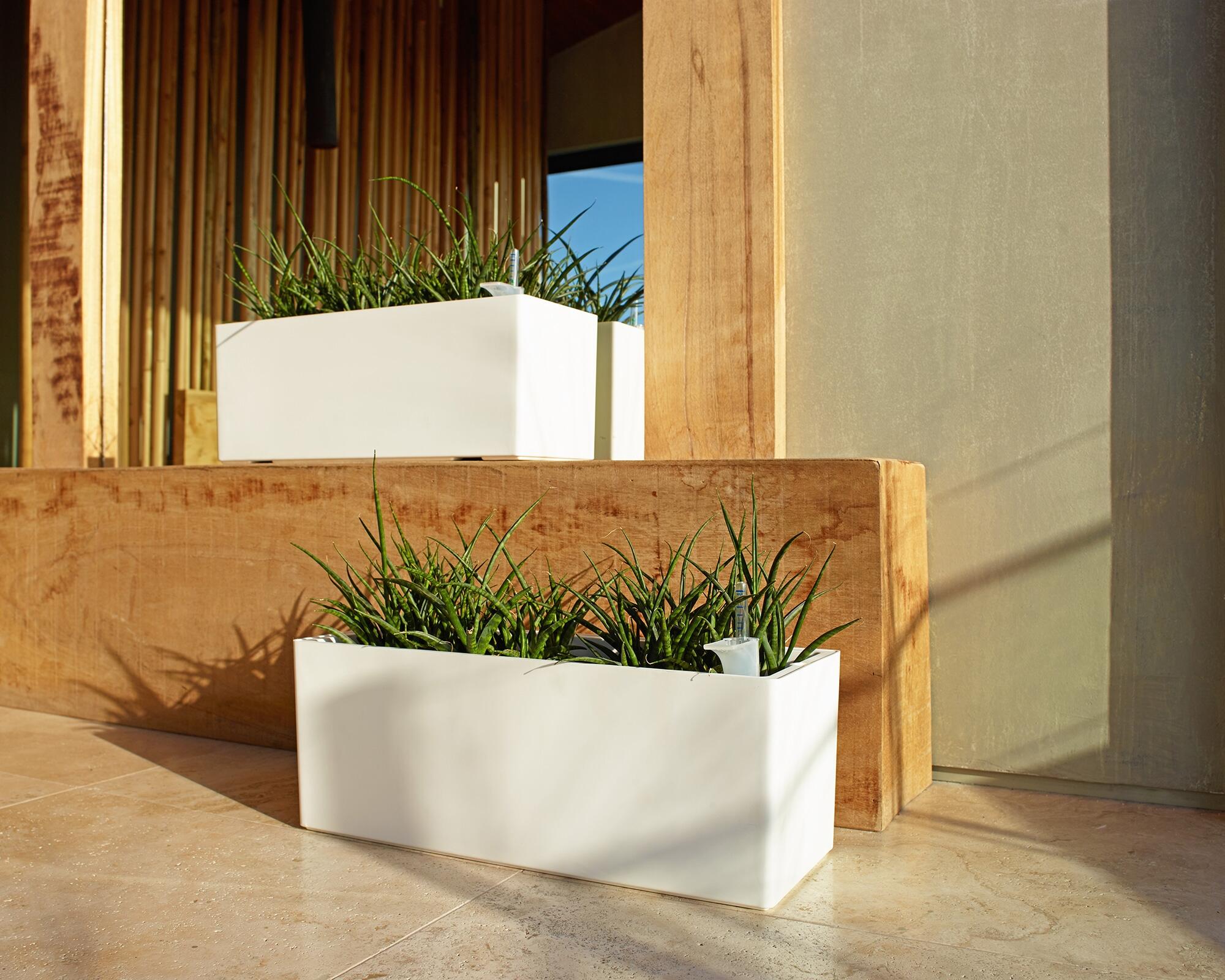 Jardinière auto-arrosante en polypropylène Rimini blanc 51x20x20cm - 4