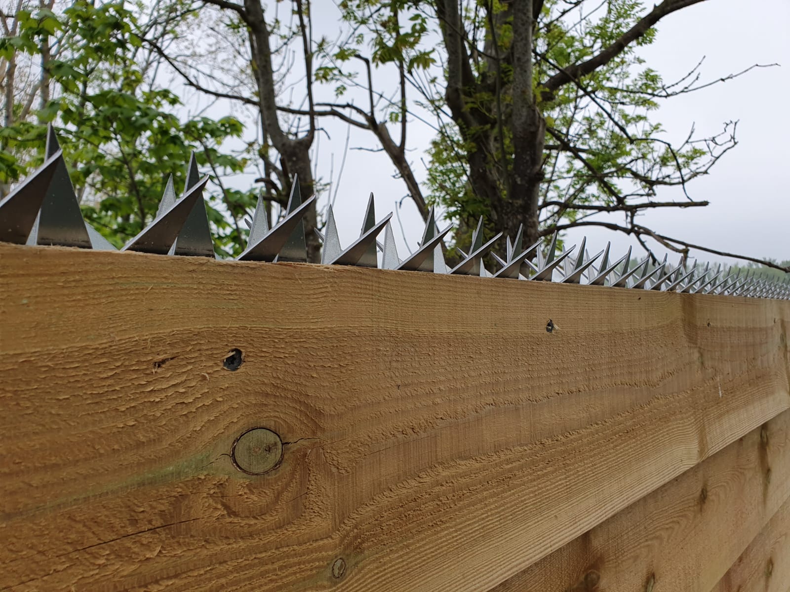 Punte Antiladro per Recinzioni - 100 cm - 4