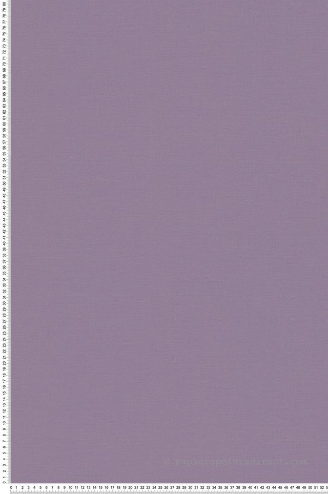 Papier peint vinyle sur intissé Lessivable et brossable Collection The Wall 2 L.10.05 x l.0.53 m. - Réf. AS-389039