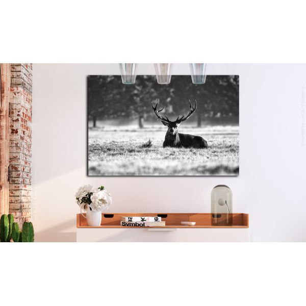 Tableau Lying Deer 120x80 cm - 2