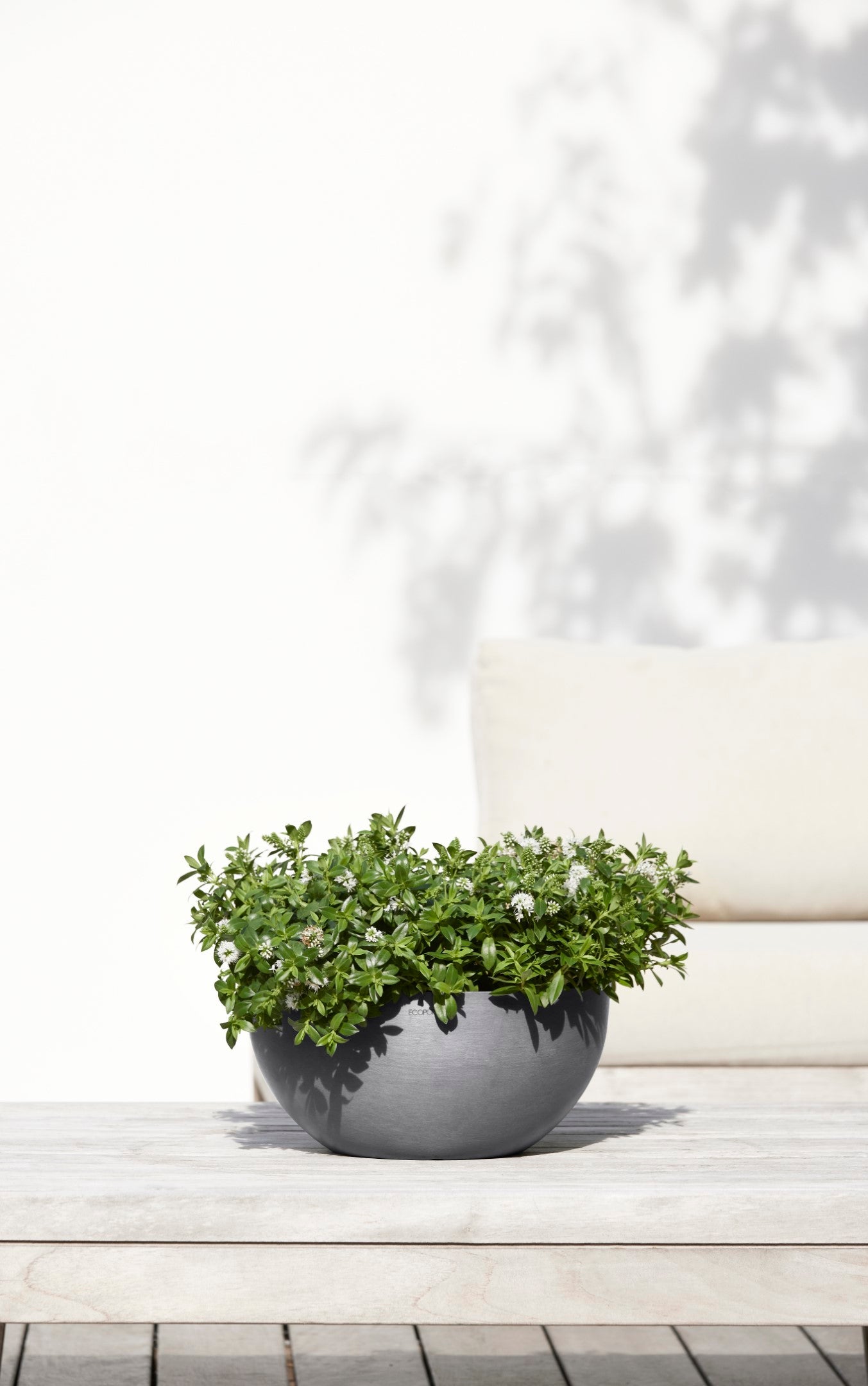 Ecopots Soucoupe ronde 50 pour pot de fleurs - L 44,5 cm x l 44,5 cm x H 3,5 cm - Gris - Intérieur et extérieur - 3