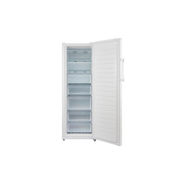 Edesa EZH-3011 /A - Congelador Horizontal E Ancho 110 Cm 300 Litros