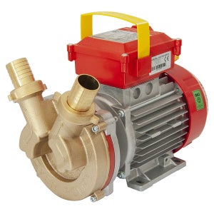 Pompe Électrique Rover 25 - Transfert Eau, Vin, Gasoil, Autodescante 0.8HP