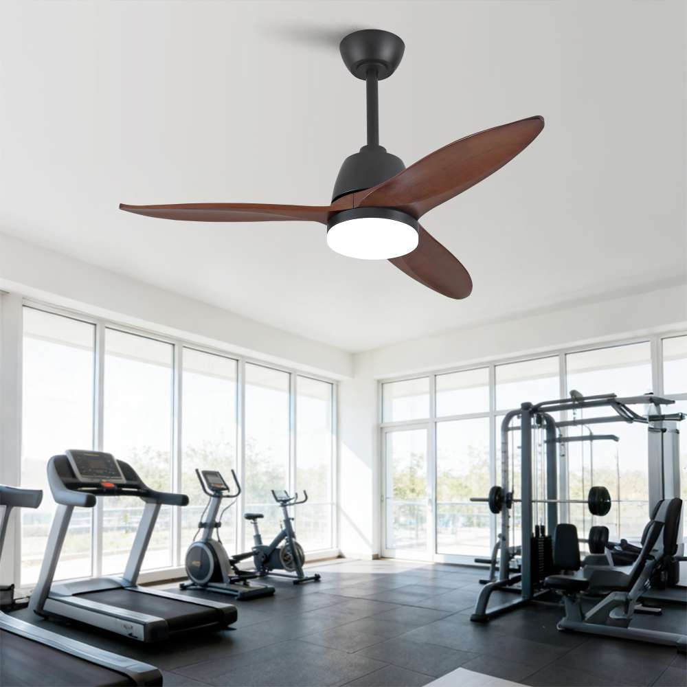 Ventilateur de plafond moderne de 106 cm en bois naturel, moteur DC silencieux, bruit inférieur à 35 dB, installation au plafond, pour salon - 4