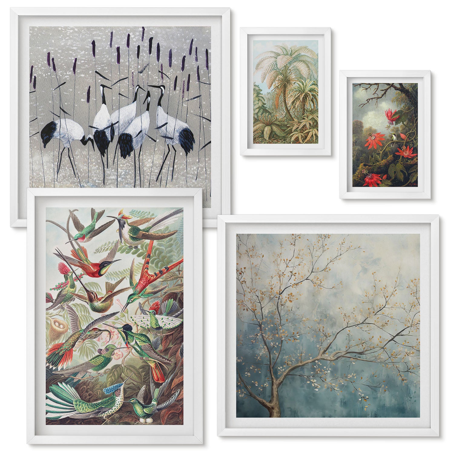 Ensemble de 5 tableaux encadrés | Oiseaux et plantes tropicales vintage ...