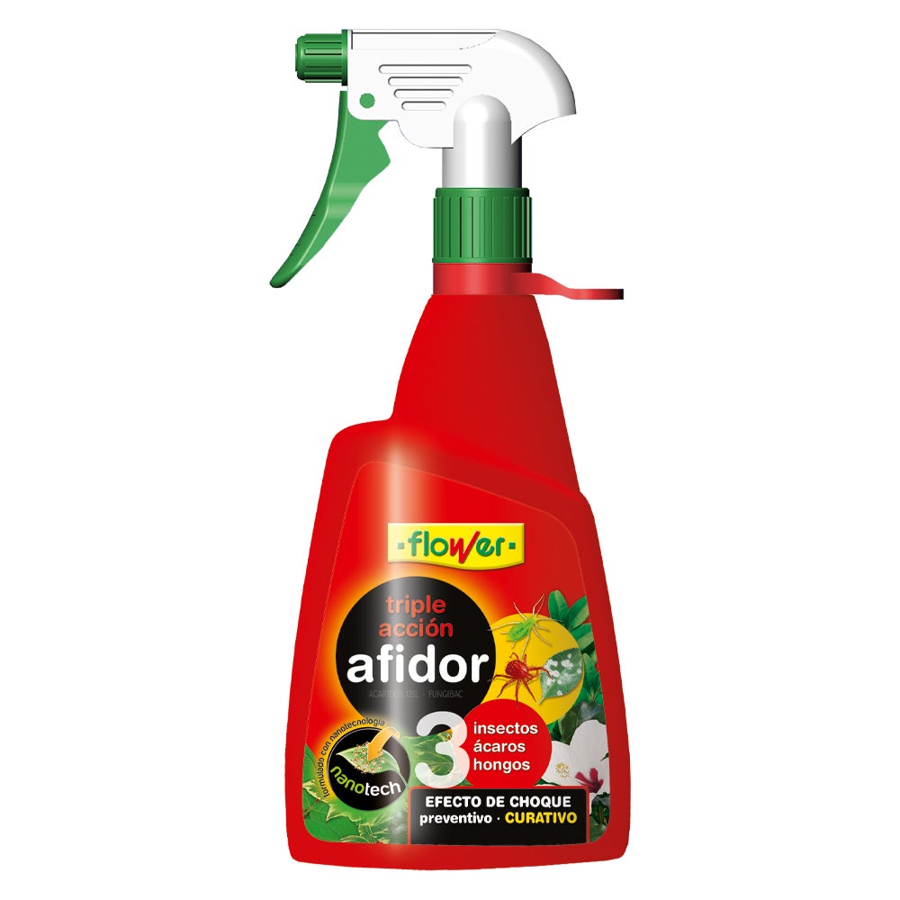 Insetticida liquido concentrato pronto all'uso per scarafaggi blatte e