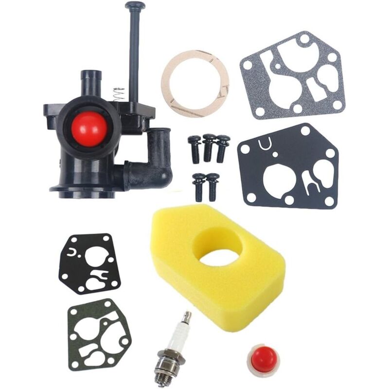 Carburateur avec Filtre à air 698369 Compatible with Briggs & Stratton ...