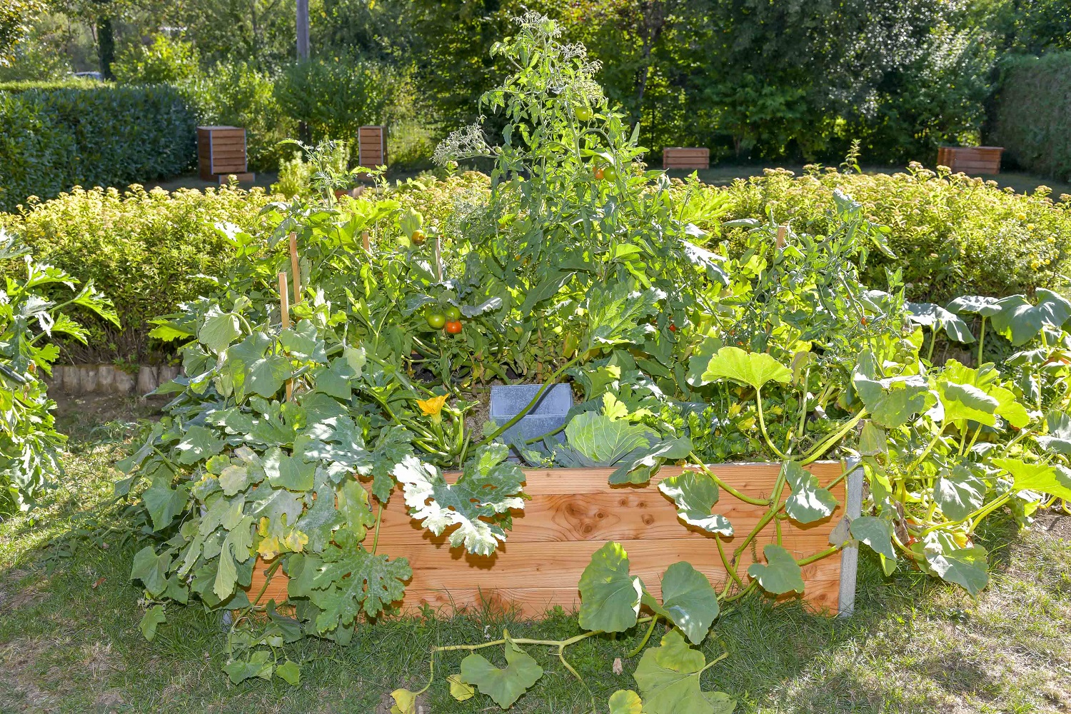 Carré potager autonome en bois Douglas KEYHOLE GARDEN L170 x l120 x H40 - Composteur intégré - Epaisseur 22mm - mon PETIT POTAGER - 3