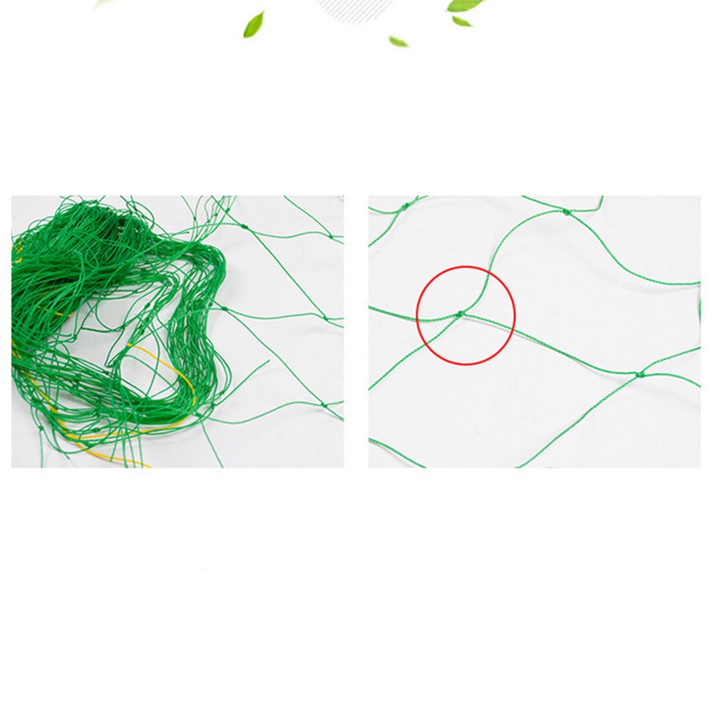 Filet d'escalade de jardin Filet d'escalade pour plantes, adapté aux jardins (0,9 M * 1,8 M) - 3