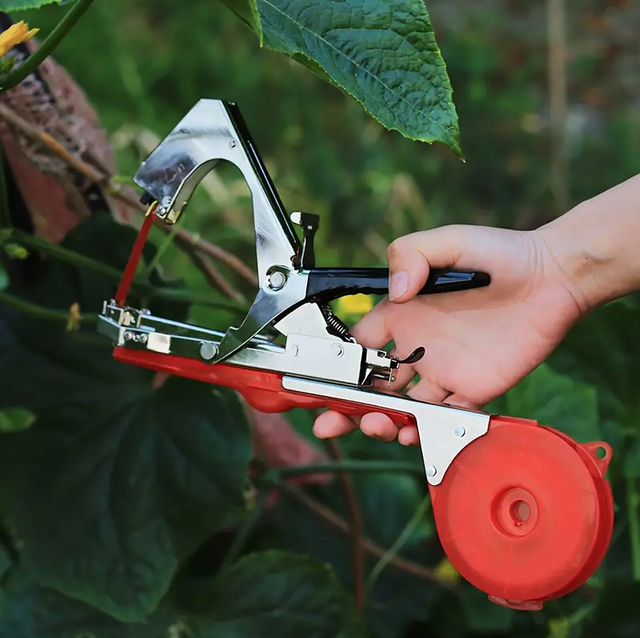 Machine à attacher les plantes pour attacher les tomates, les poivrons et les concombres rapidement et facilement, outil de jardinage pour vigne