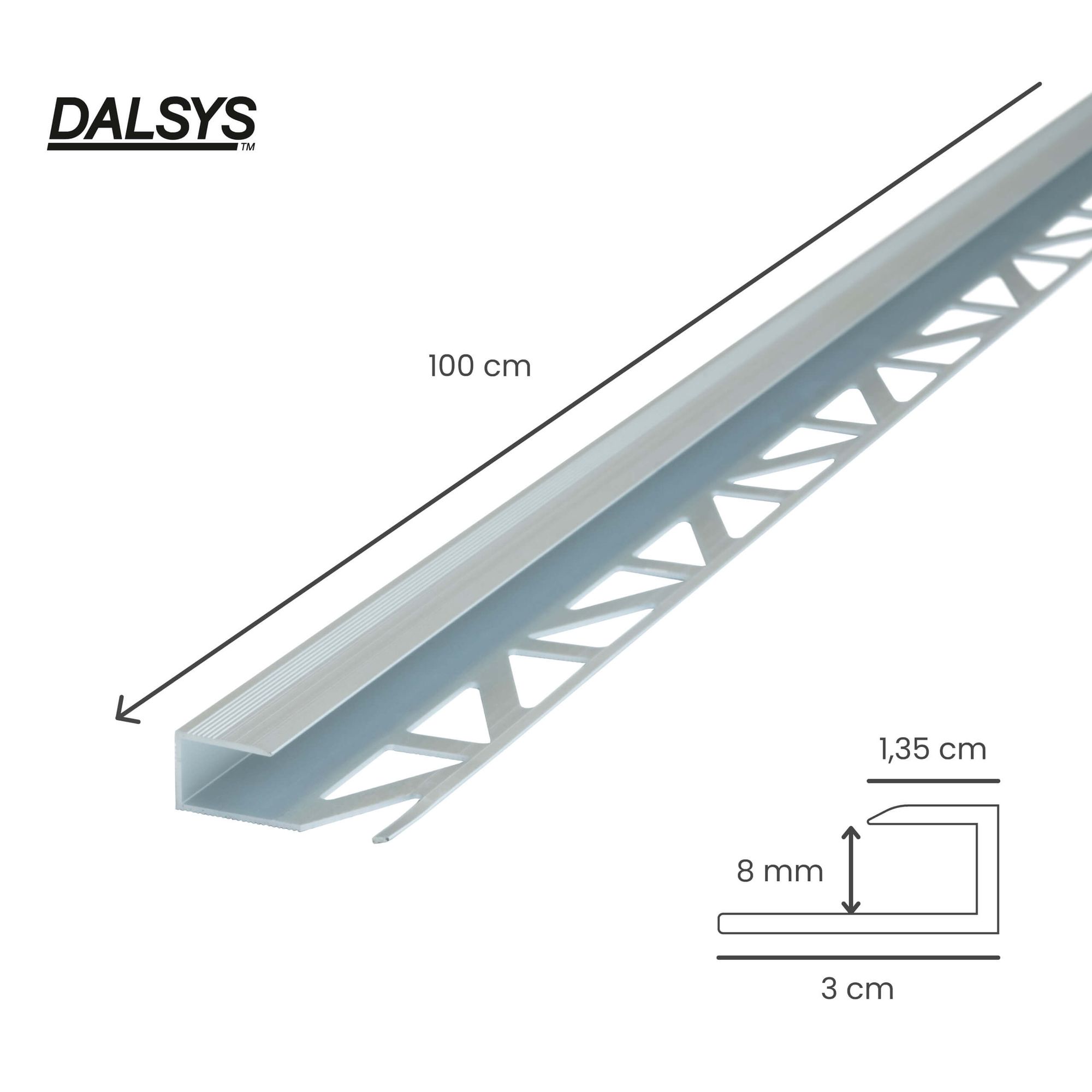Profil de transition 100 cm pour revêtement épaisseur 8 mm, à encastrer, aluminium argenté - Dalsys - 2