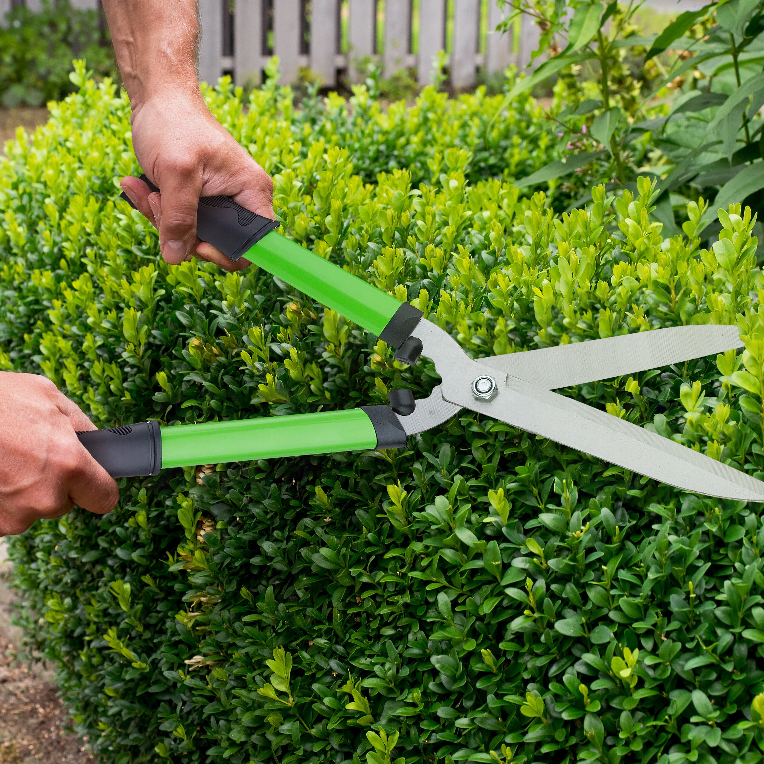 Set di 3 cesoie da giardino per legno fresco: forbici per rose, troncarami e tagliasiepi, con lame in acciaio delicate sulle piante, verde, Relaxdays - 5