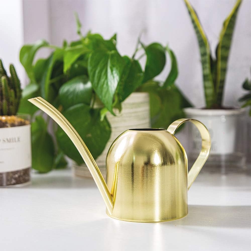 Konewka ze stali nierdzewnej, mały dzbanek z długim dziobkiem do domu, wnętrz, na zewnątrz, do ogrodu, dla sukulentów, 500 ml (złoty)