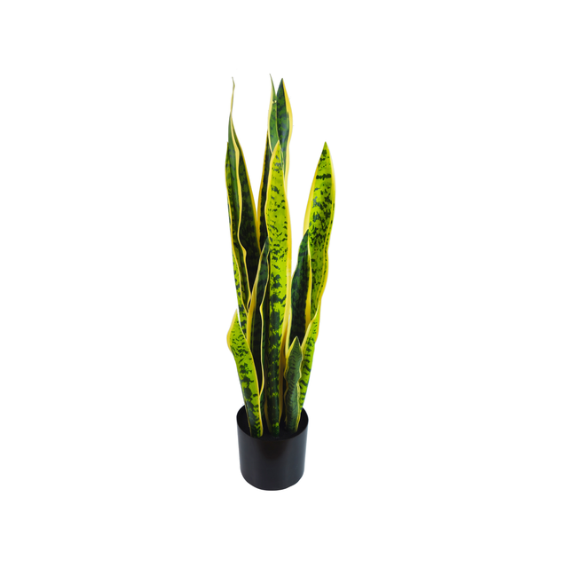 Tecnokit Piante Finte Sanseveria 80 cm Piante Artificiali da Esterno Lingua di suocera per Soggiorno Decorazioni Camera da Letto Balcone