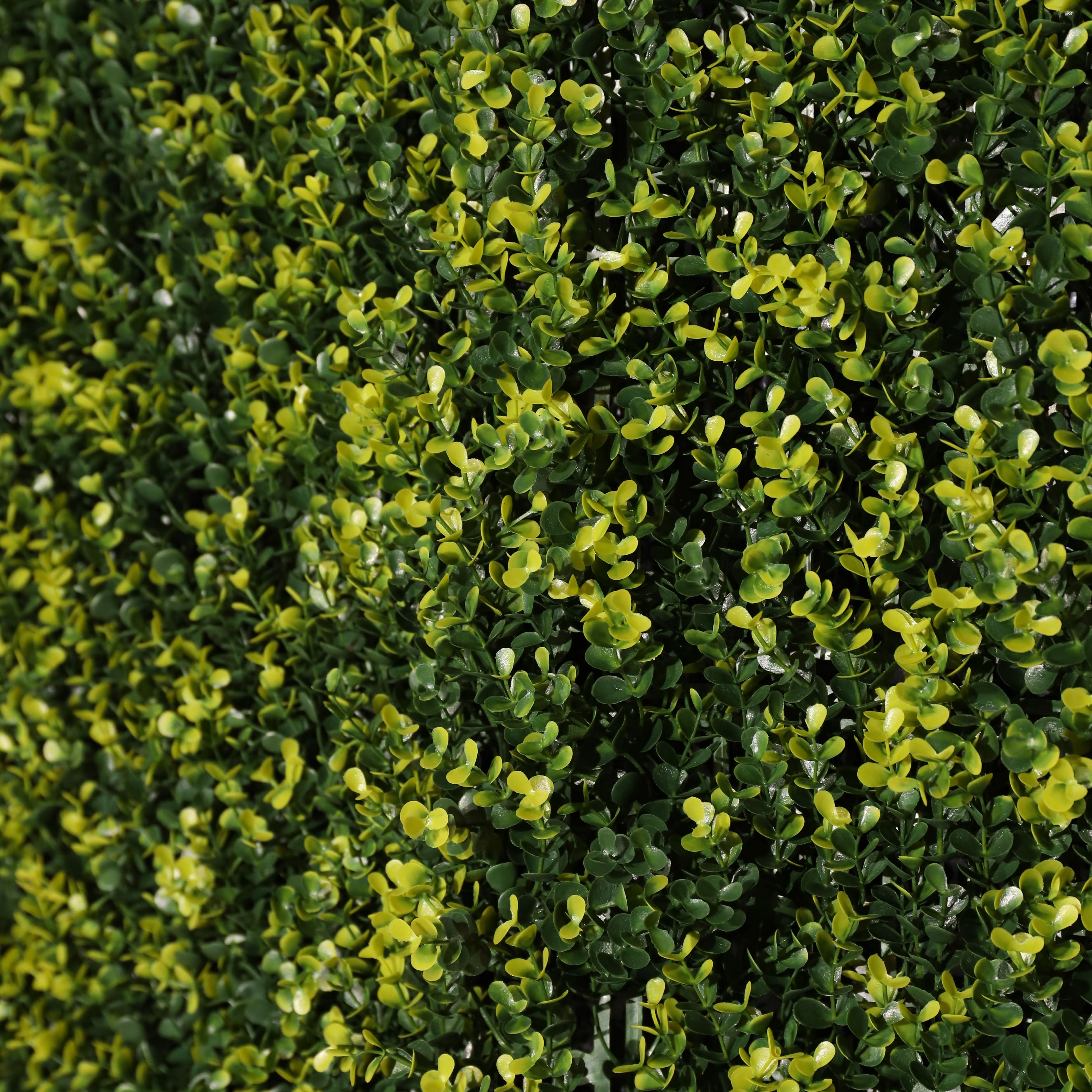 Jardín vertical artificial Soleado Verde y amarillo 100 x 100 cm | Naturing Monde - Para interior y exterior - Material HDPE - Garantía UV 5 años - 9
