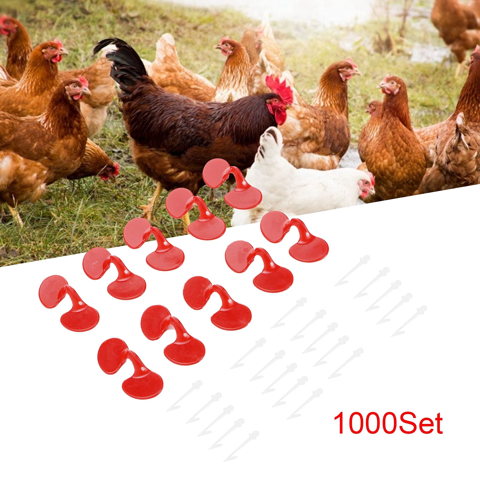 1000Set 6cm Paraocchi per Pollo con Fori in Plastica Anti Beccate per Pollo Occhi Occhiali Accessorio - 3