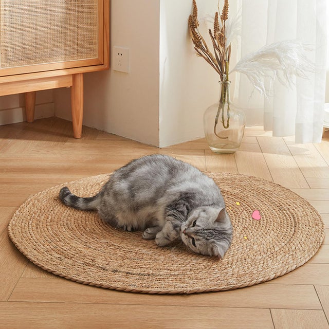 Pierre Sol Rond Tapis anti chats au meilleur prix | Leroy Merlin