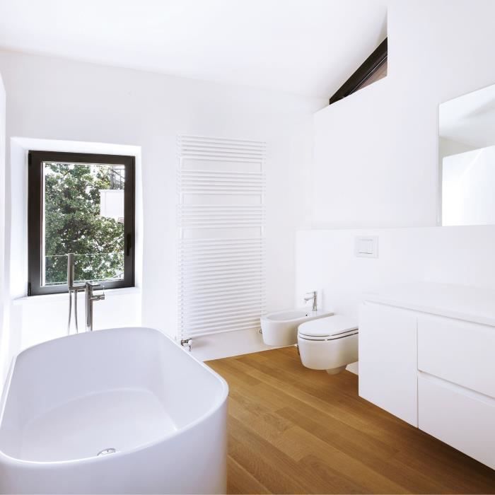Vernice per soffitti di cucina e bagno - Bianco opaco - RIPOLIN - 1 litro - 3
