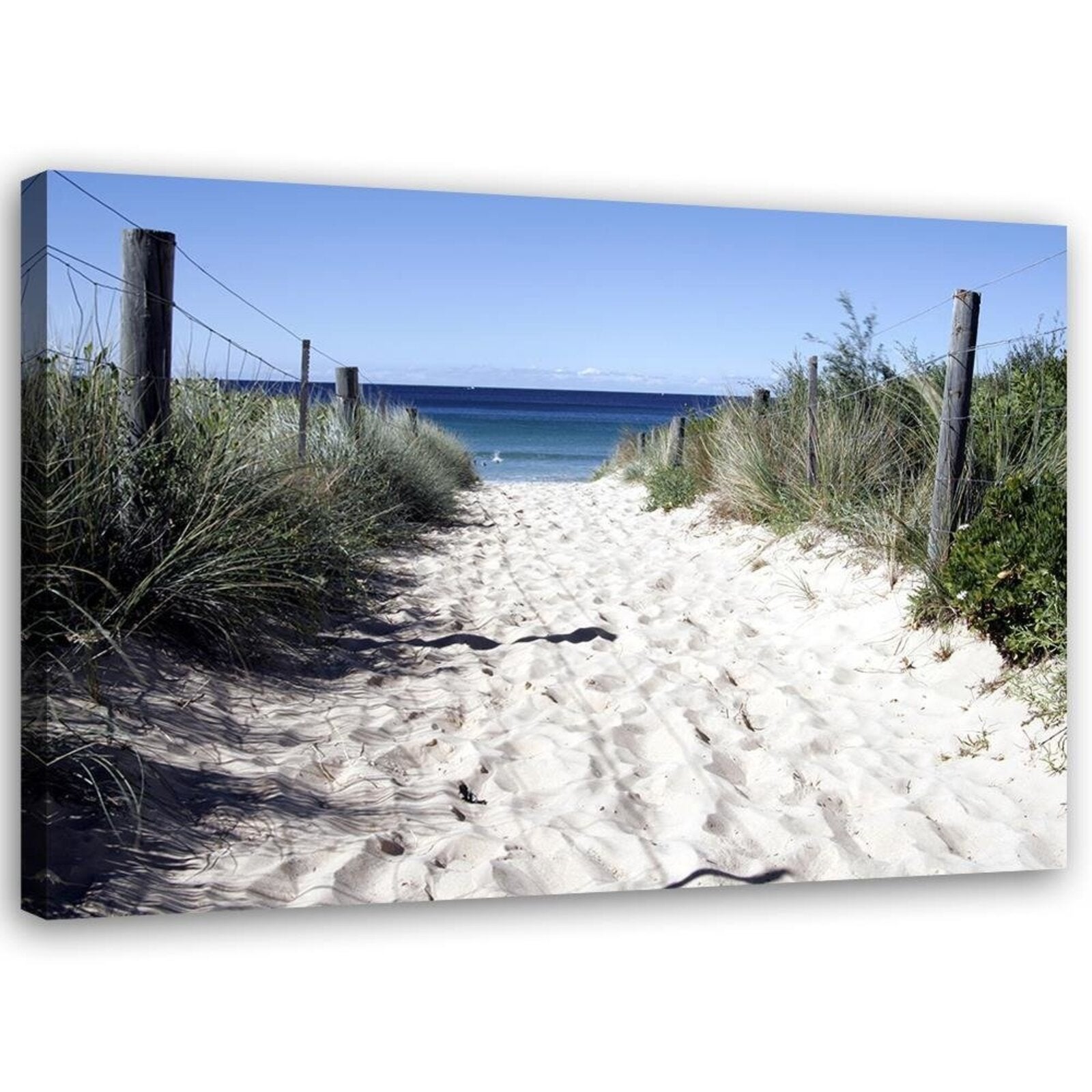 Obraz na płótnie, Ścieżka przez wydmy na plażę 60x40