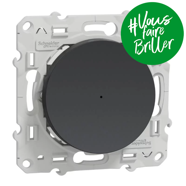 Bouton-poussoir Odace Wiser - Zigbee - 10A - Anthracite