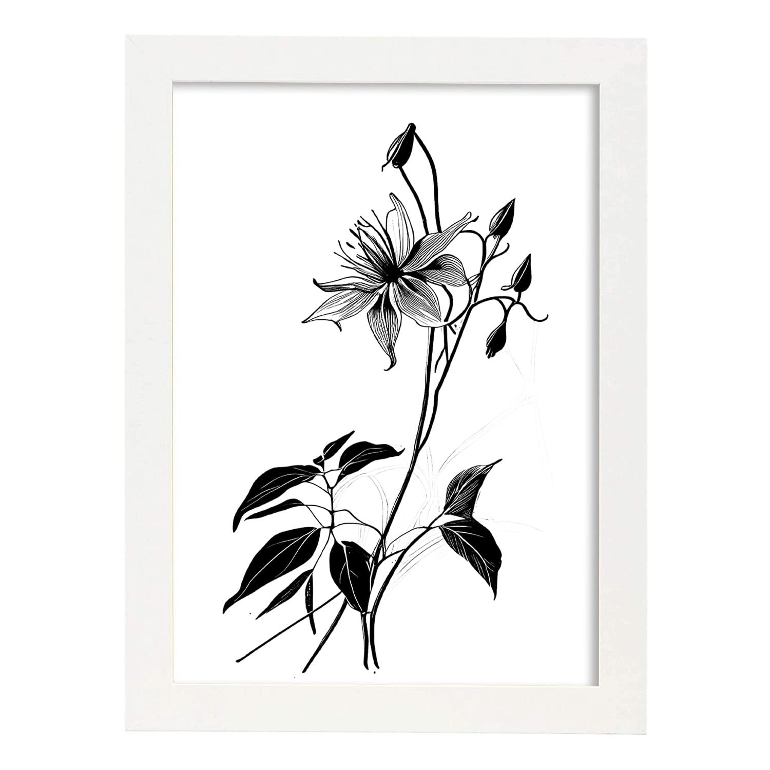 Nacnic poster de aquilegia estilo nórdico ilustraciones de botánica con flores y plantas en blanco y negro diseño y a3 con marco blancos