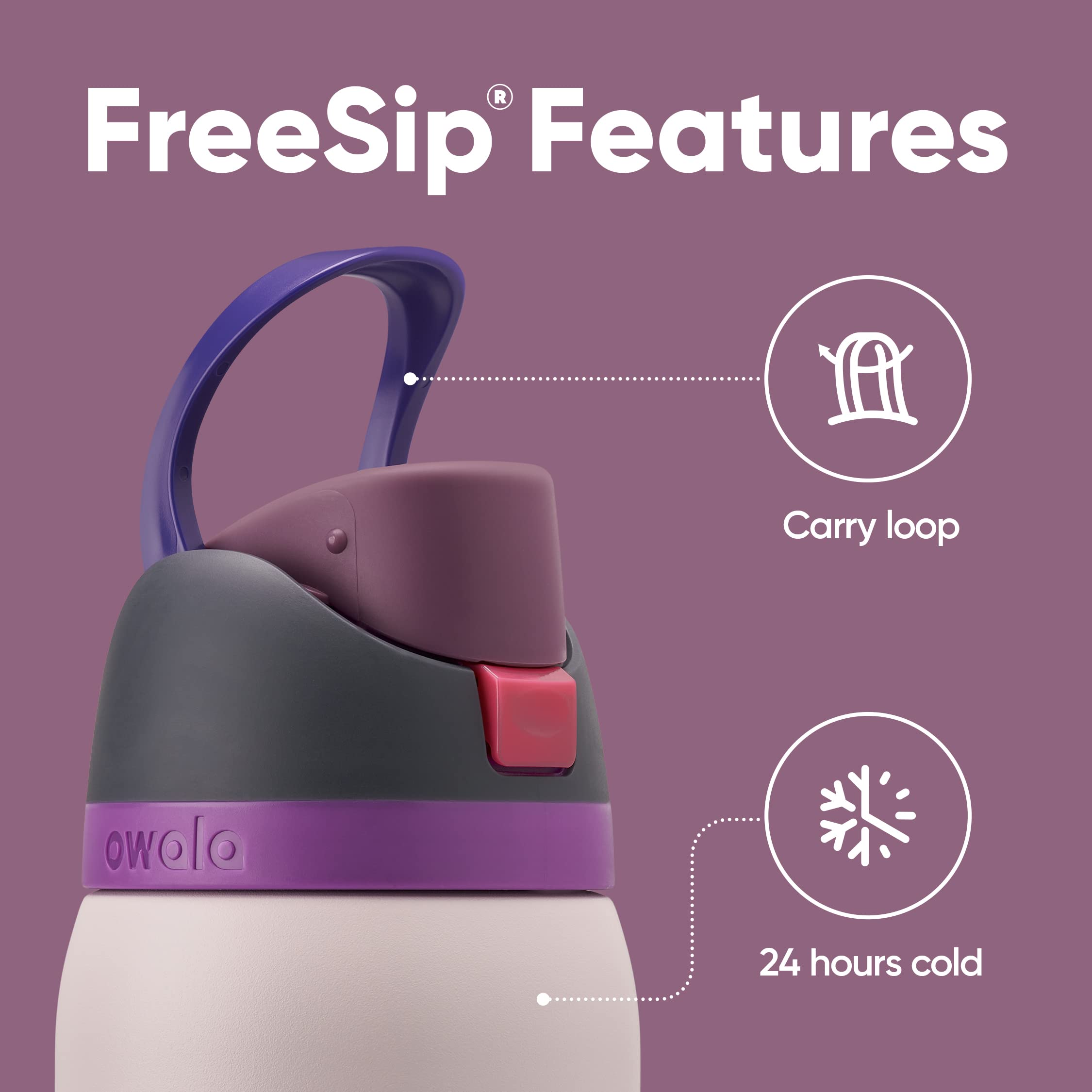 Owala FreeSip Borraccia Termica Acciaio Inox con Cannuccia, 945 ml – Bottiglia Termica Isolata per Sport e Viaggio, Senza Perdite, Senza BPA, Dreamy Field