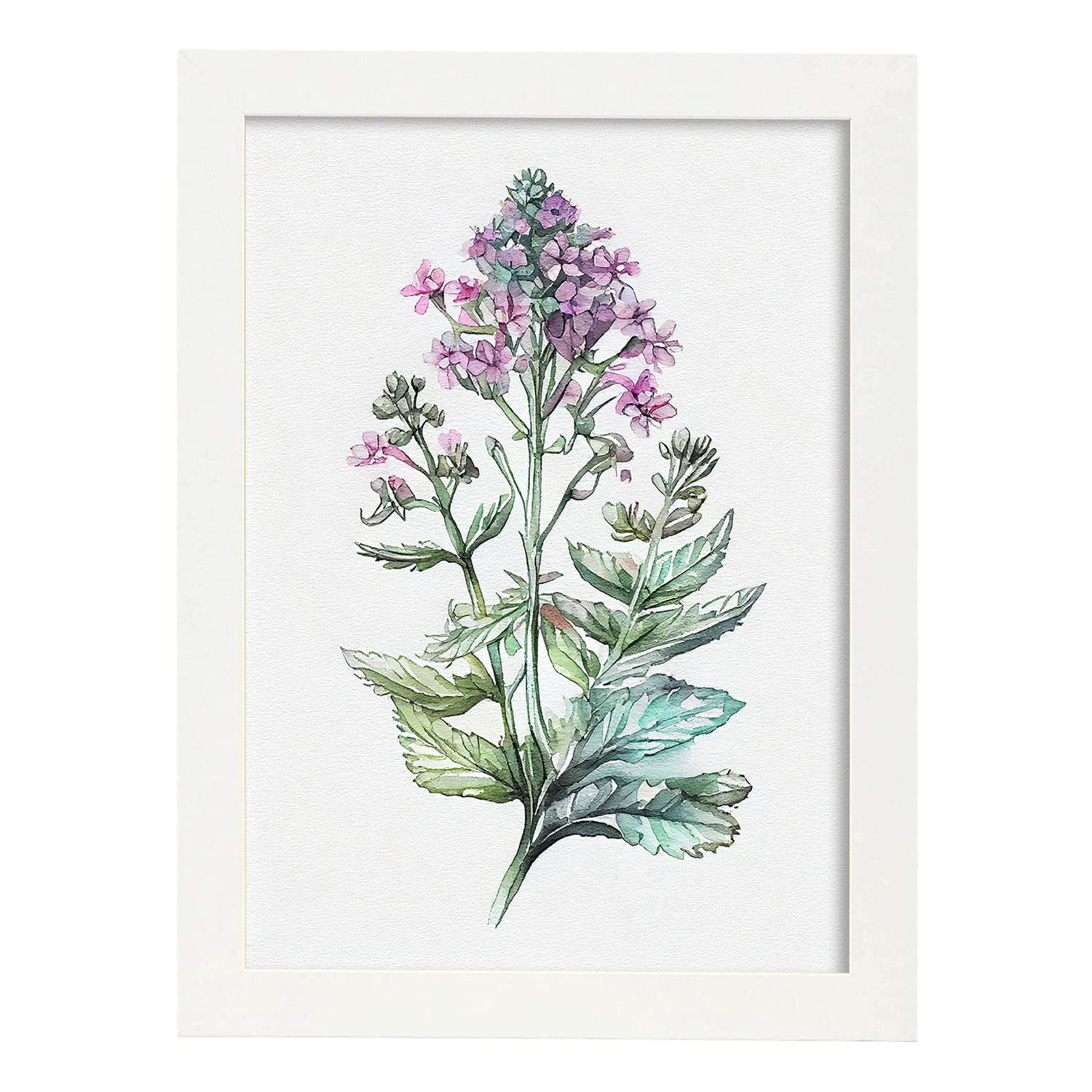 Nacnic poster de verbena estilo nórdico ilustraciones de botánica con flores y plantas en acuarela diseño moderno y modelo 2 a3 con marco blancos