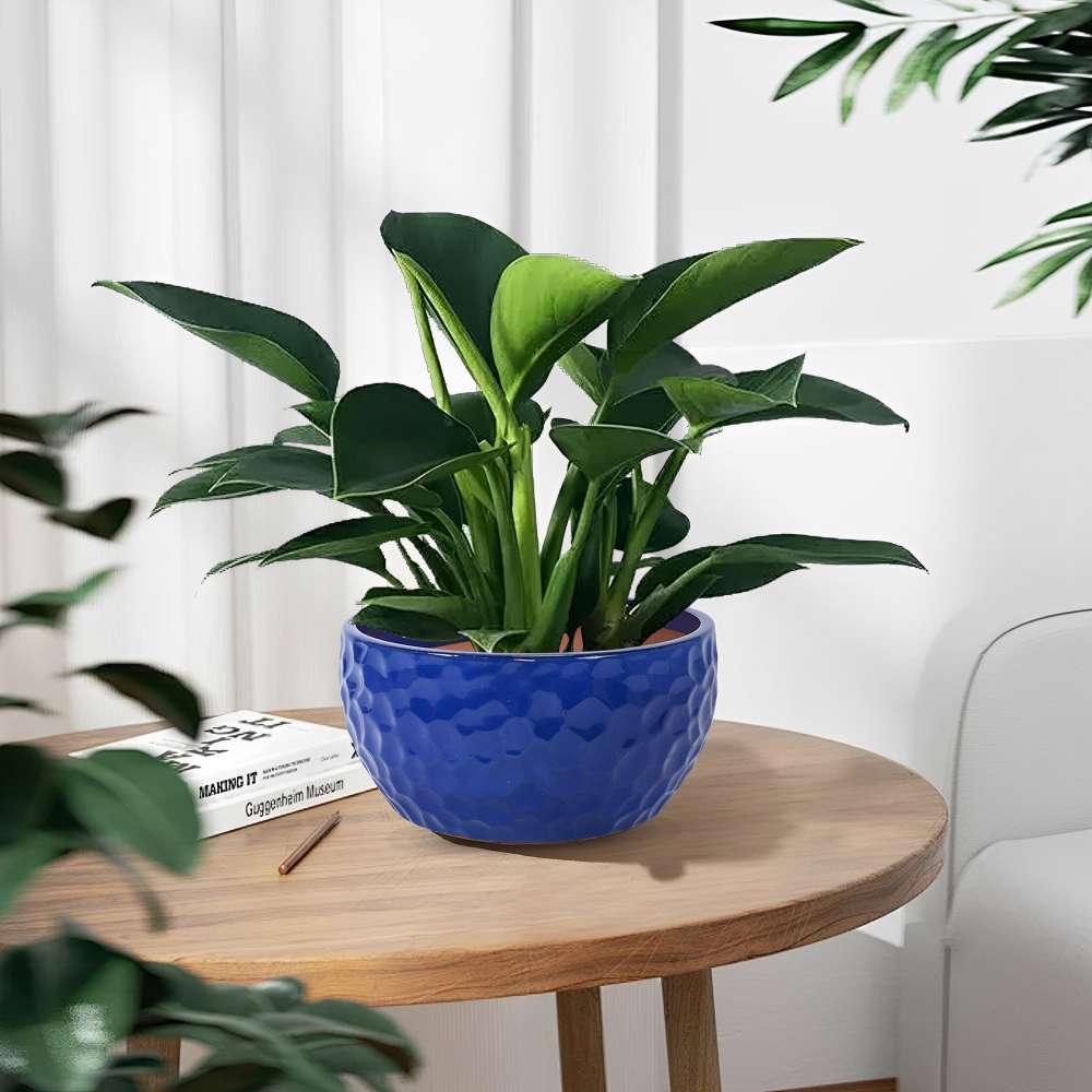 Set 3 pots céramique Ø38,1/30,5/25,4 cm bleu cobalt martelé, succulentes/violettes, intérieur/extérieur, argile respirante - 6