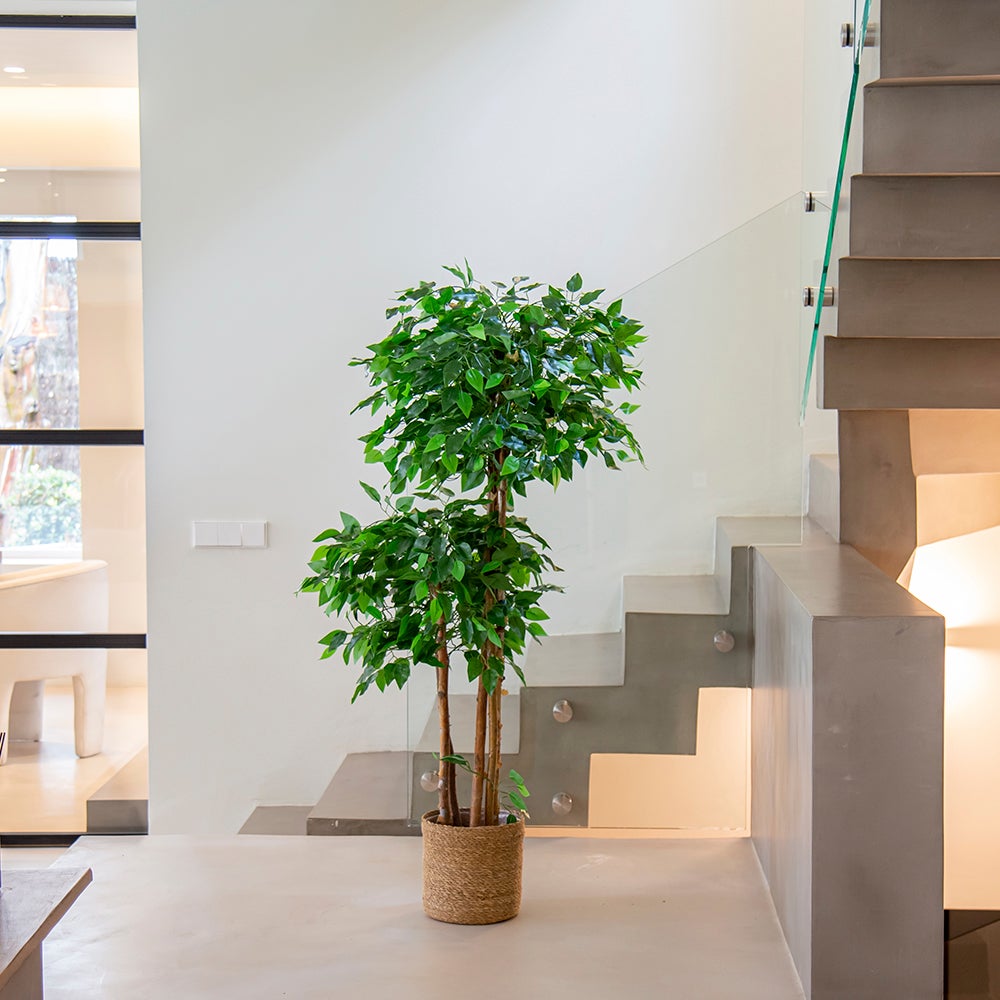 Ficus artificiel à plateaux - 3