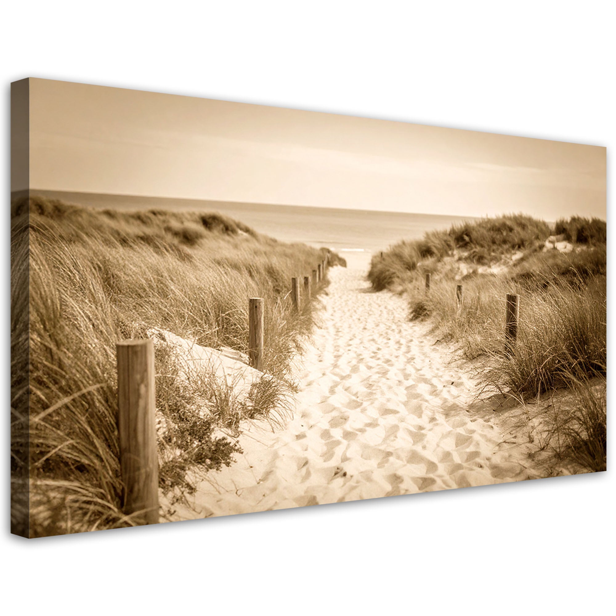 Obraz do salonu sypialni biura, Ścieżka na plażę krajobraz vintage 120x60